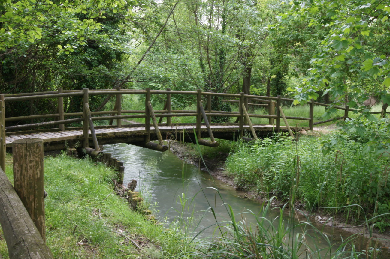 Ponte di legno nella natura del Medio Friuli
